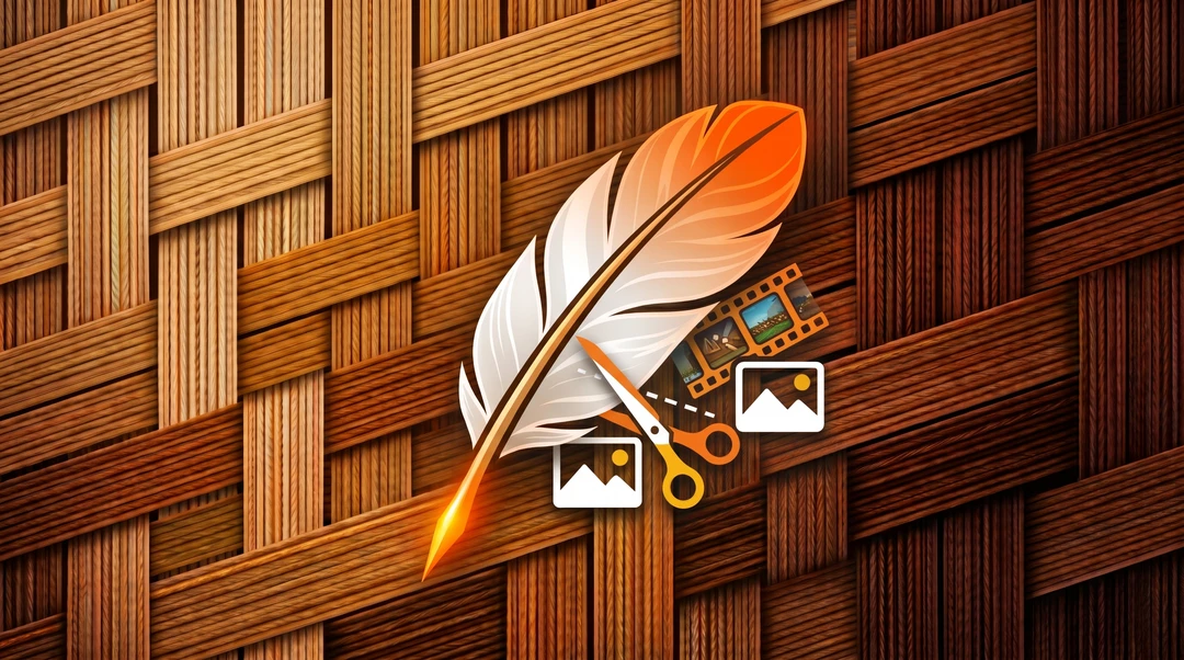 CelSuite QUIS banner